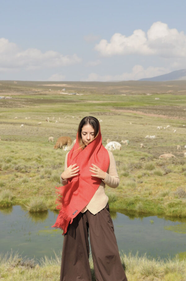 T'IKAY - Image 2