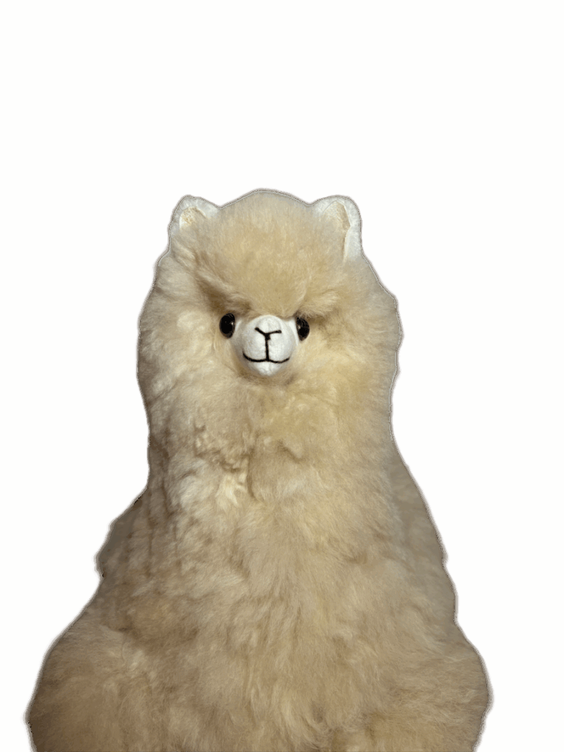 MUNAY CLASSIC ALPACA - Image 2