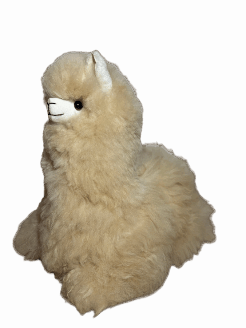 MUNAY CLASSIC ALPACA
