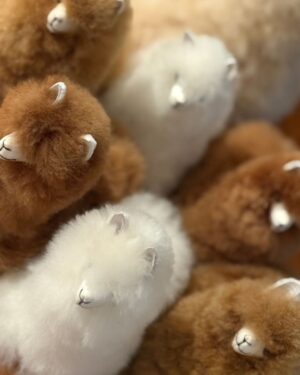 MUNAY MINI ALPACA
