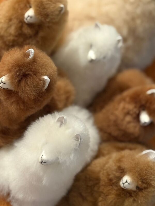 MUNAY MINI ALPACA