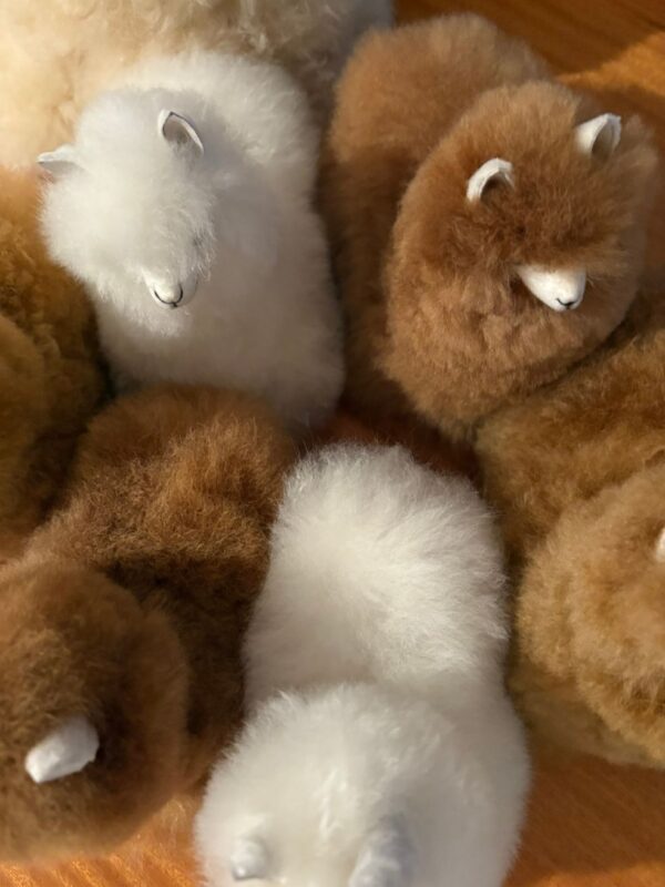 MUNAY MINI ALPACA